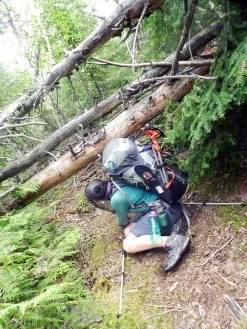 REI Flash 65 -REI Co-op Online 13576734 971049649677961 2671086741820215692 o