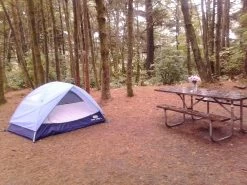 REI Camp Dome 2 -REI Co-op Online CampDomeTableFlowers